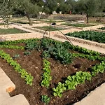 فيلة Moresca Dei Trulli Fernando أوستوني