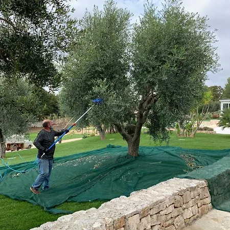 Moresca Dei Trulli Fernando