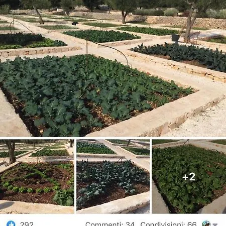 Villa Moresca Dei Trulli Fernando *