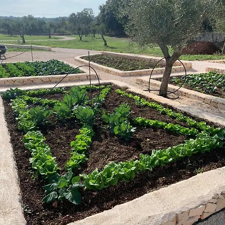 Moresca Dei Trulli Fernando * Ostuni
