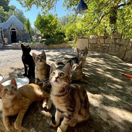 Moresca Dei Trulli Fernando