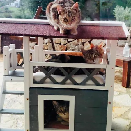 Moresca Dei Trulli Fernando Villa *