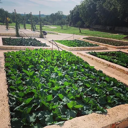 Moresca Dei Trulli Fernando Villa *