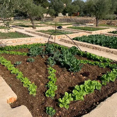 Villa Moresca Dei Trulli Fernando Ostuni