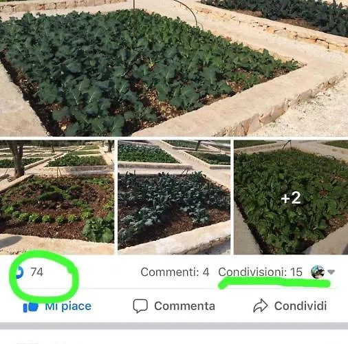 Moresca Dei Trulli Fernando