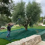 Moresca Dei Trulli Fernando
