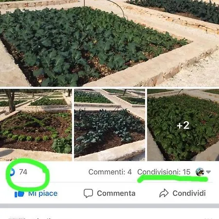 Moresca Dei Trulli Fernando